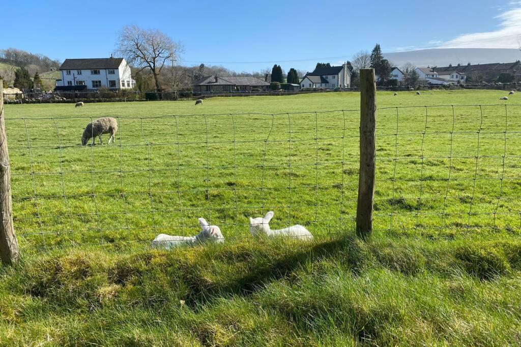 Sawley In The Forest Of Bowland - Cosy Cottage. Holiday home
